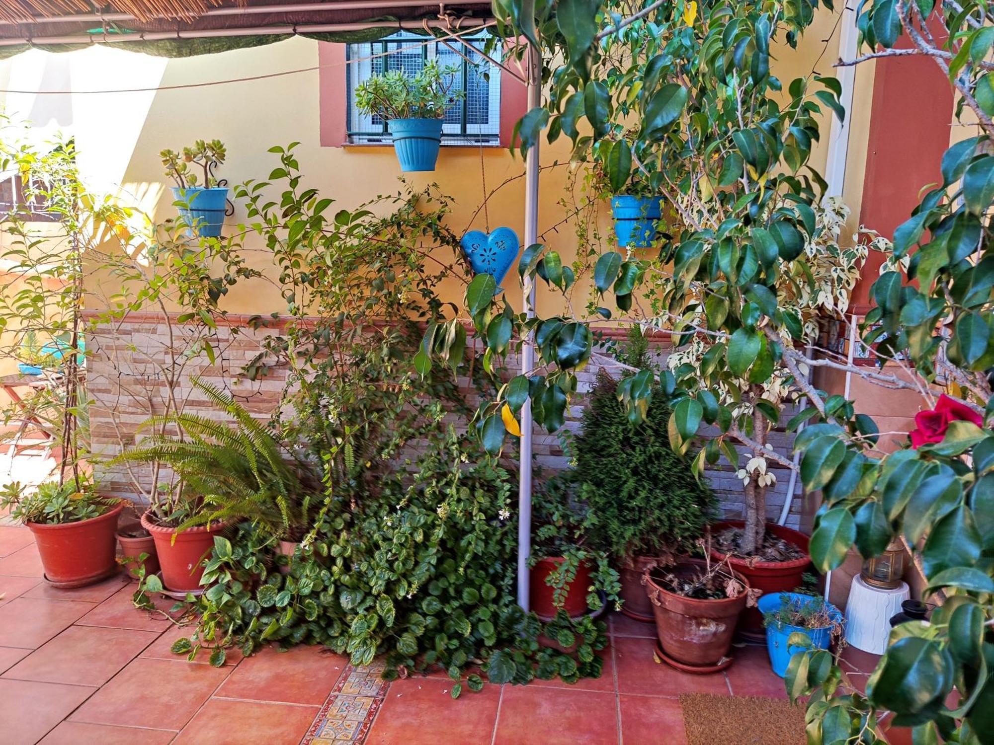 Apartamento Cool Garden Mairena del Aljarafe Exteriör bild