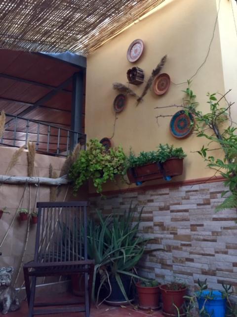 Apartamento Cool Garden Mairena del Aljarafe Exteriör bild