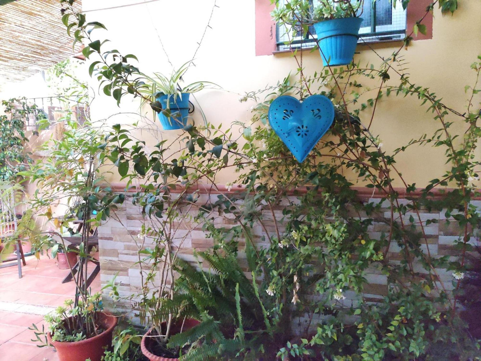 Apartamento Cool Garden Mairena del Aljarafe Exteriör bild
