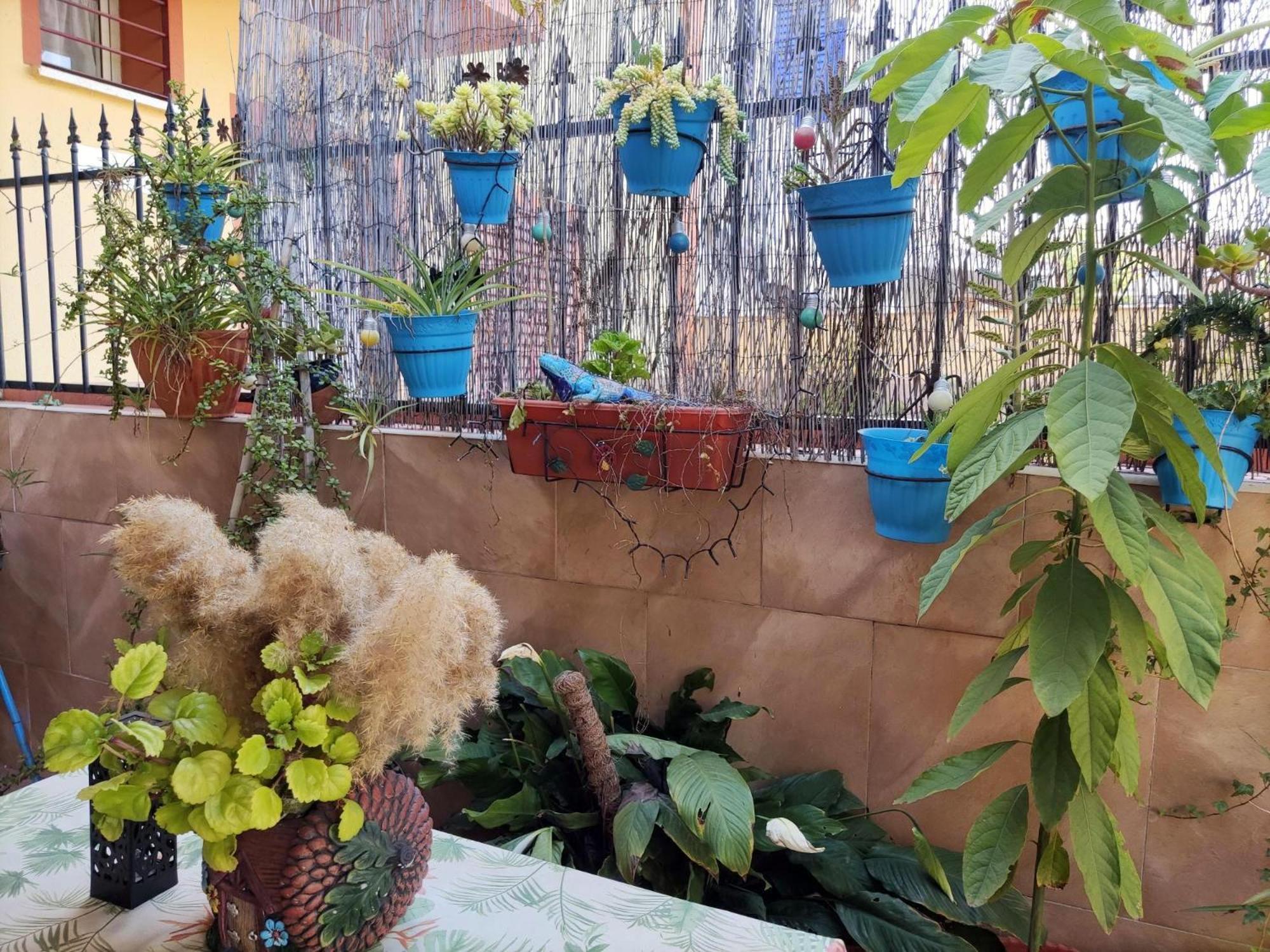Apartamento Cool Garden Mairena del Aljarafe Exteriör bild