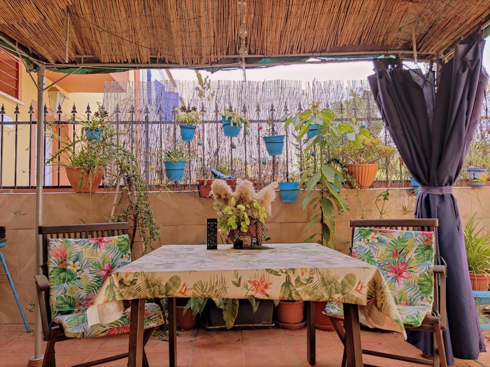 Apartamento Cool Garden Mairena del Aljarafe Exteriör bild